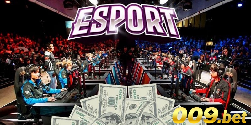 Sân chơi cược Esports hợp pháp