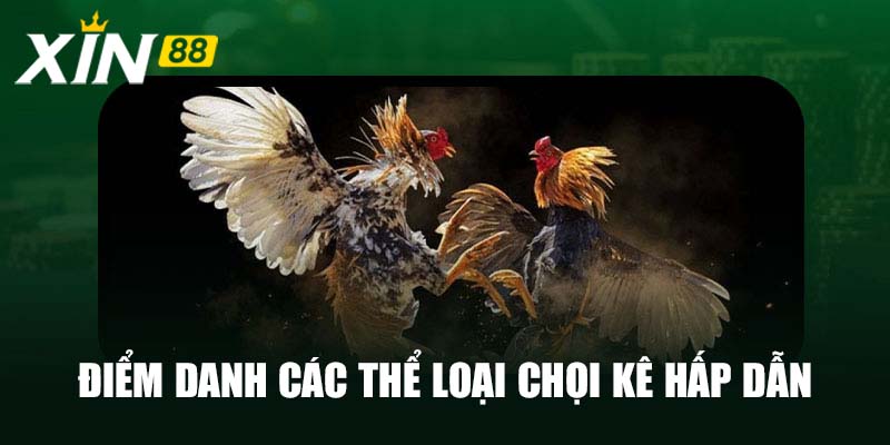 Điểm danh các thể loại chọi kê hấp dẫn tại đá gà Xin88